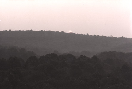 scan0003.tif